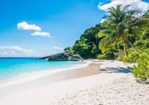 Beach Paradise
